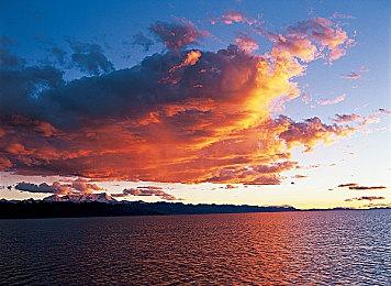 测试阶段完成？《哥谭骑士》测试版页面信息已被删除